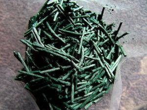 spiruline